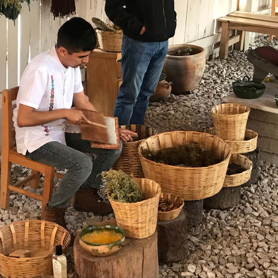 Galería de fotos para redes