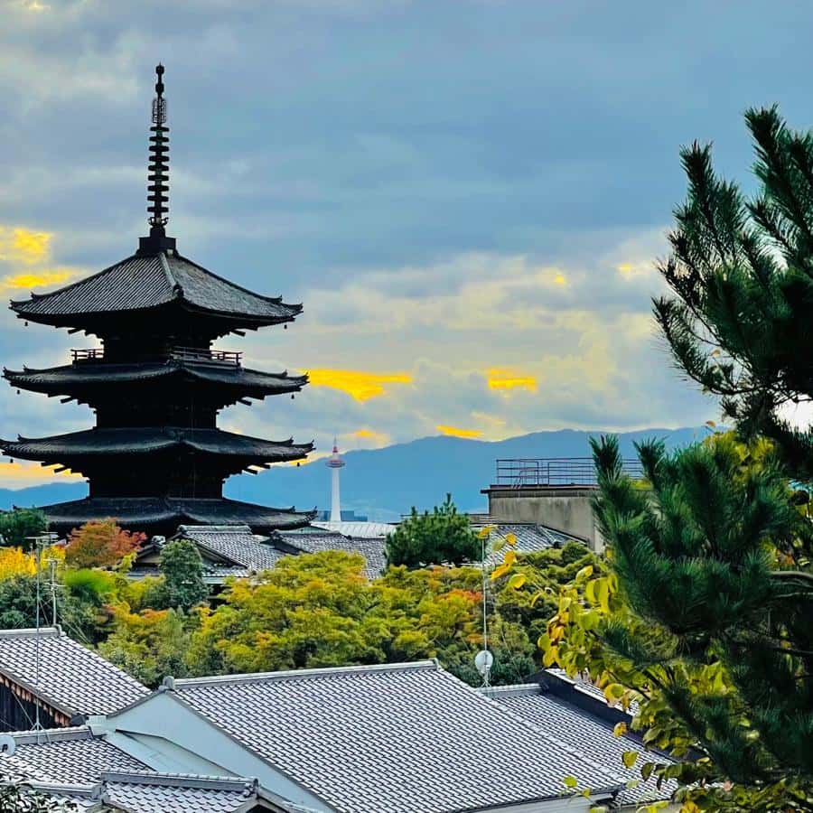 From Tokyo: Kyoto, Nara, and Osaka 3-Day Guided Tour GetYourGuide