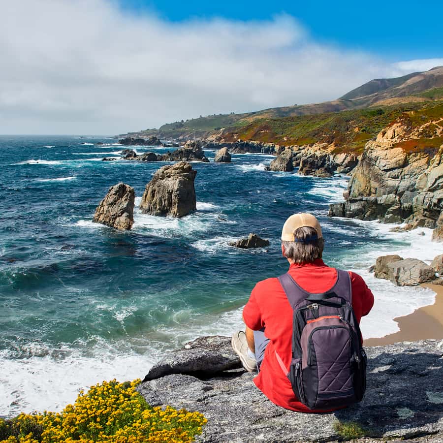 Big Sur: Sightseeing Tour with 4 to 5 Stops