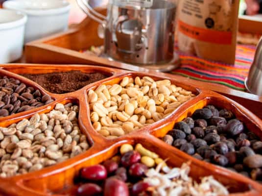 Oxapampa – Villa Rica: Kaffeekultur & Regenwald‑Erlebnis