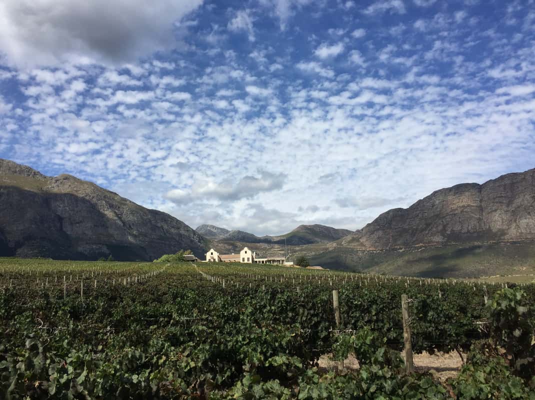 Full-Day Private Wine Route Tour