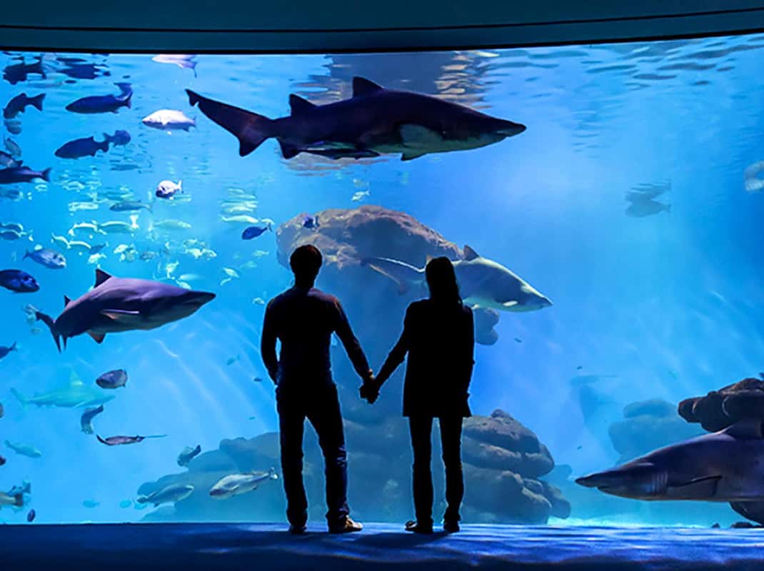 Palma Aquarium op Mallorca met grote aquaria