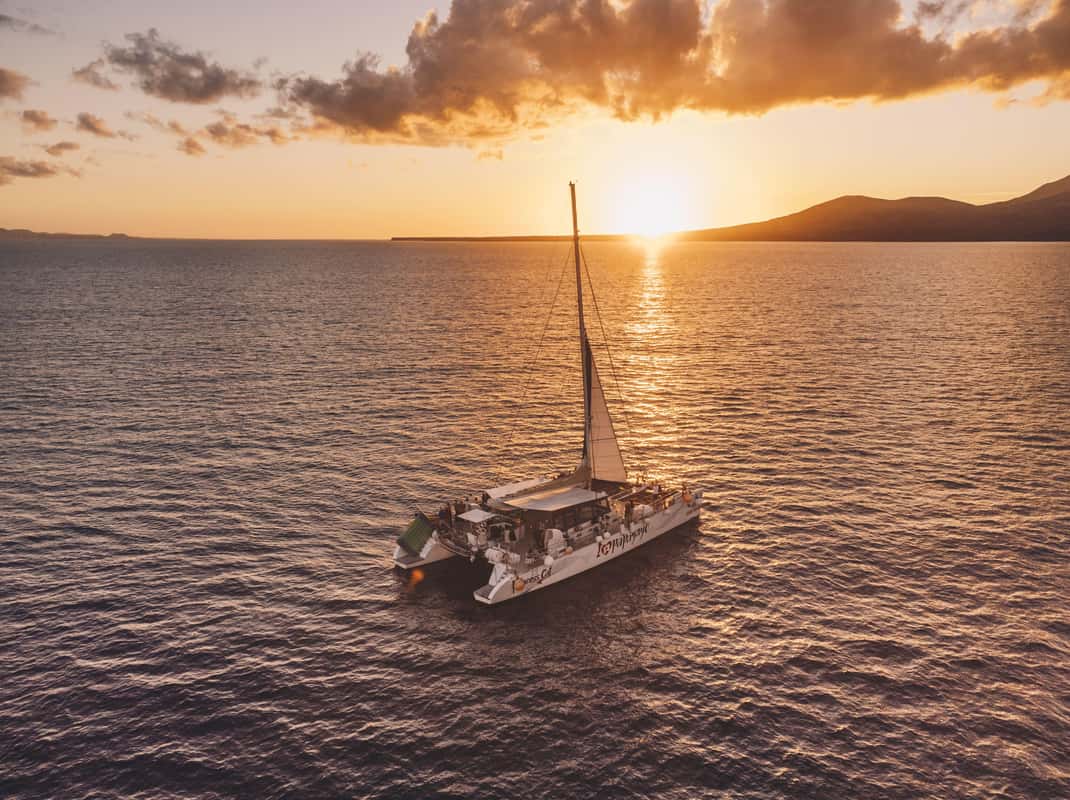 Dolfijnen en zonsondergangcruise bij Puerto del Carmen, Lanzarote