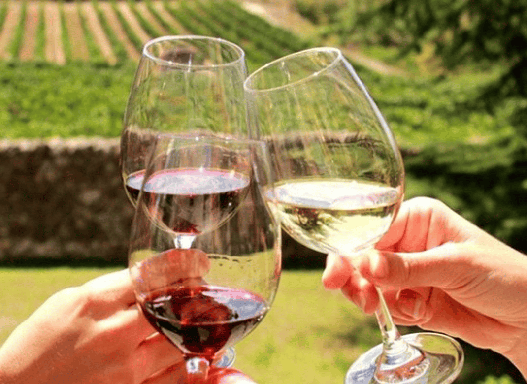 Stellenbosch: Half-Day Wine Tour