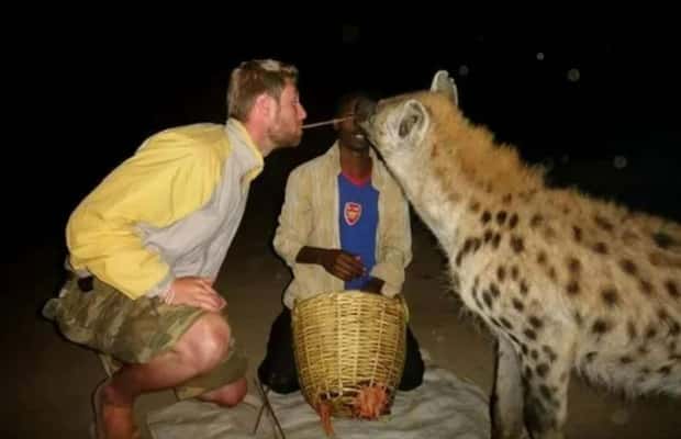 image n.1 of 2 Day Harar City Tour & Hyena Feeding activity in Addis Ababa, uploaded by supplier