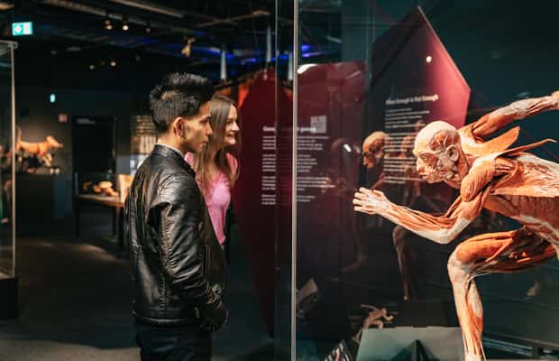 obrázok č. 1 aktivity Berlín: Vstupenky do múzea BODY WORLDS v Berlíne v destinácii Berlín, obrázok nahral dodávateľ