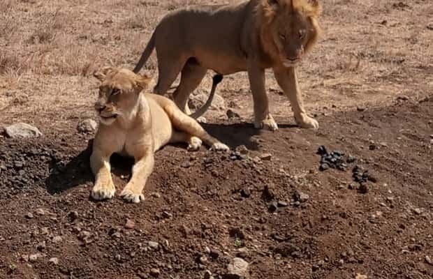 image n.1 of Overnight safari to Tsavo East from Mombasa / Diani Beach activity in Coast Province, uploaded by supplier