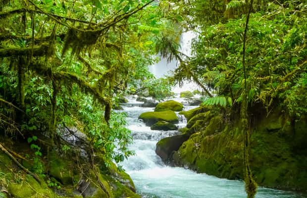 image n.1 of From San Jose: La Paz Waterfall Garden & Rainforest Tour activity in Alajuela Province, uploaded by supplier