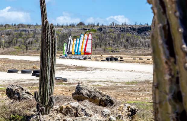 afbeelding n.1 van Blokart Landsailing aan de kust van Caribisch Bonaire activiteit in Kralendijk, geüpload door aanbieder