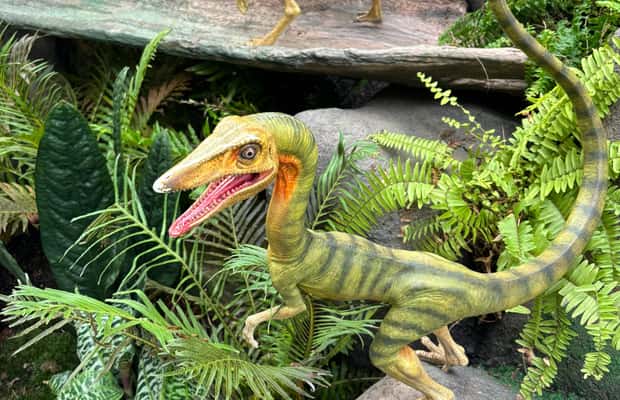 imagen n.º 1 de Singapur: tour de la ciudad y Jurassic World en Gardens by the Bay actividad en Singapur, subida por el proveedor