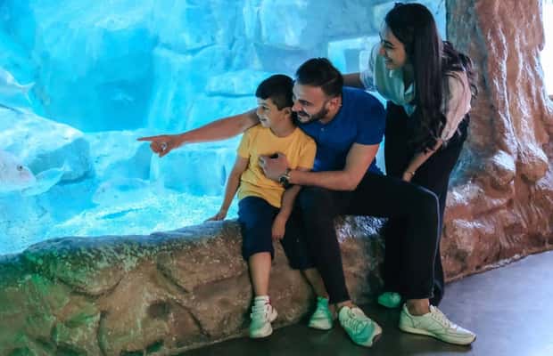 image n.1 of Barcelona: Hop-On Hop-Off Bus & Aquarium Tour activity in Barcelona, uploaded by supplier