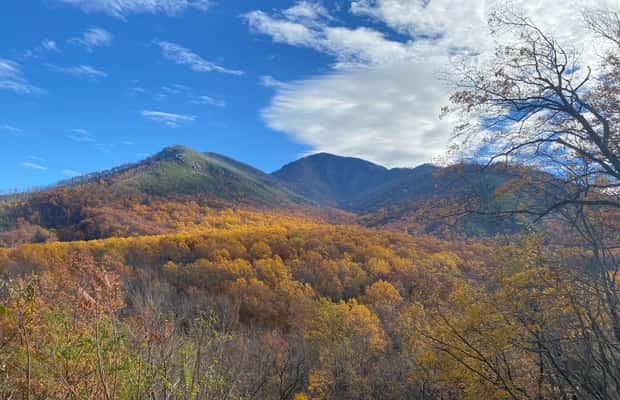 image n.1 of Gatlinburg: Great Smoky Mountains National Park Classic Tour activity in Bryson City, uploaded by supplier