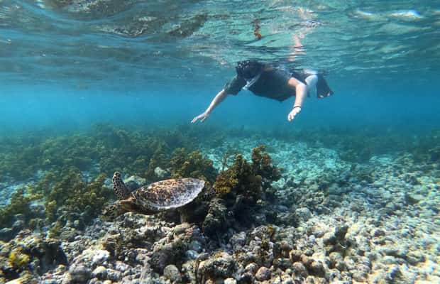 image n.1 of Praslin: Coco Felicite & La Digue Island Full-Day Boat Trip activity in Mahé, uploaded by supplier
