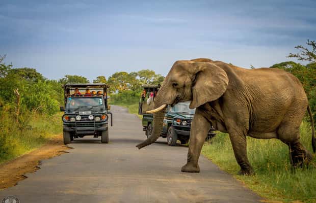 image n.1 of Durban:3 Day Hluhluwe-Imfolozi Park, St Lucia, iSimangaliso activity in Hlabisa, uploaded by supplier