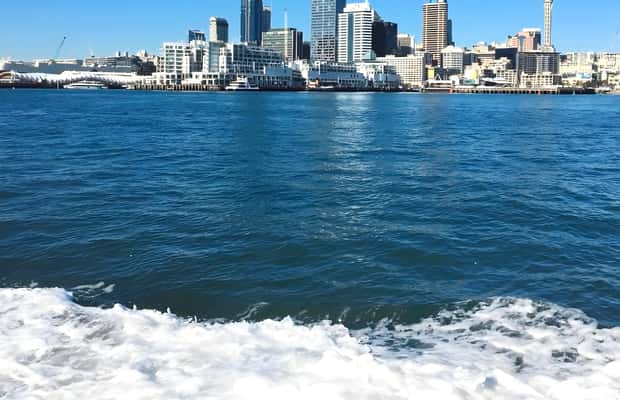 billede nr.1 af aktiviteten Auckland: Waitematā Harbour Cruise med live kommentarer i Auckland, uploadet af udbyder