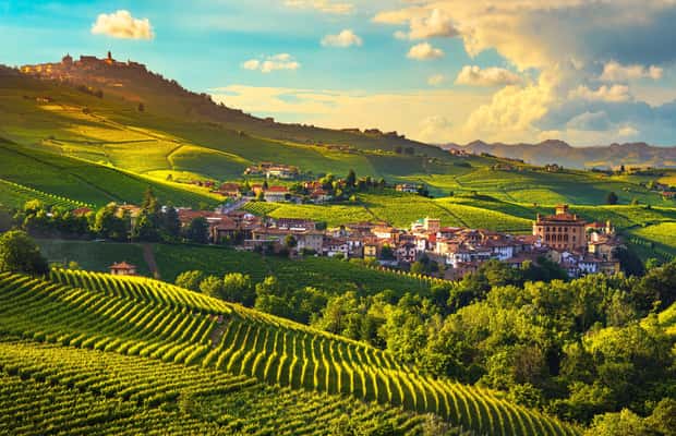 billede nr.1 af aktiviteten Fra Milano: Barolo-vinsmagning, Alba-tur og slotsbesøg i Milano, uploadet af udbyder