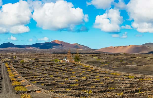 afbeelding n.1 van Arrecife: Timanfaya en Green Lagoon voor cruisepassagiers activiteit in Yaiza, Lanzarote, geüpload door aanbieder