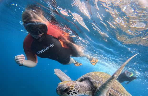 Obraz nr 1 z atrakcji Teneryfa: wycieczka snorkelingowa w siedlisku żółwi w Adeje, przesłany przez organizatora