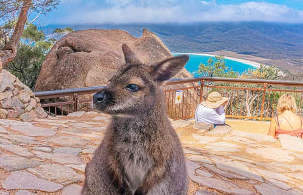image n.1 of Hobart: Wineglass Bay, Freycinet Park, and Richmond Tour activity in Coles Bay, uploaded by supplier