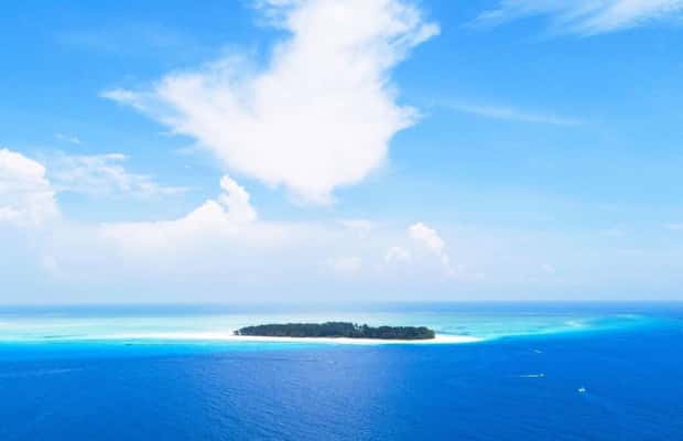 image n.1 of Mnemba Island, Jozani Forest, Kuza Cave, The Rock Restaurant activity in Unguja South Region, uploaded by supplier