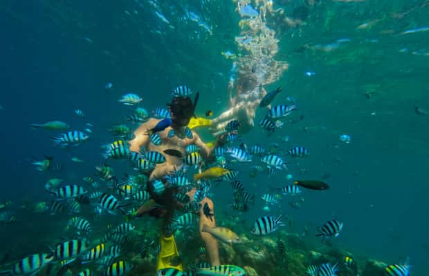 afbeelding n.1 van Lombok: Snorkelen op Gili Nanggu, Sudak & Gili Kedis activiteit in West-Nusa Tenggara, geüpload door aanbieder