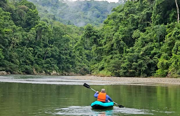 image n.1 of Panama: The Full Rainforest Experience activity in Colón Province, uploaded by supplier