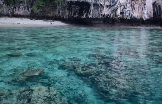 billede nr.1 af aktiviteten Ko Phi Phi Don: Dagsudflugt med speedbåd og hajsnorkling i Thailandbugten, uploadet af udbyder