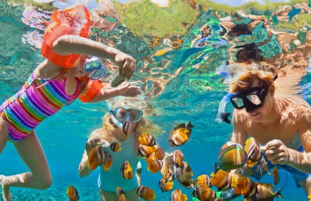 image n.1 of Cartagena: 6-Stop Rosario Islands Oceanario, Lunch & Snorkel activity in Cartagena, uploaded by supplier