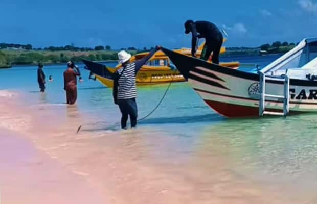 1. attēls no Lomboka: Rozā pludmales ekskursija, Slepenā Gili un snorkelēšanas ekskursija aktivitātes Indonesia, augšupielādējis partneris
