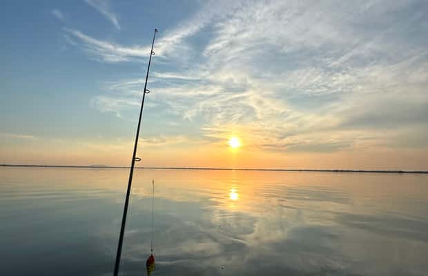 image n.1 of Boat Tour to Letea Forest activity in Tulcea County, uploaded by supplier