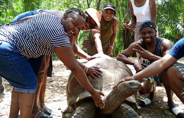 image n.1 of MOMBASA:FORTJESUS,OLDTOWN,GIRAFFE,OSTRICH,ORYX WILD,DAYTOUR activity in Mombasa, uploaded by supplier