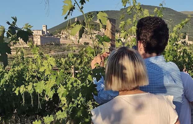 imagem n.1 de Assis: Degustação de vinhos, harmonização gastronômica, caminhada nos vinhedos atividade em Assis, Itália, carregada pelo fornecedor