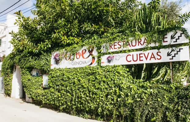 Palma de Mallorca içindeki Palma: Genova Mağaraları Bilet ve Dijital Sesli Rehber etkinliğinin tedarikçi tarafından yüklenen 1 no'lu görseli