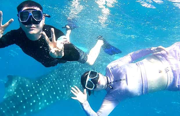imagem n.1 de Cebu: Nadar com tubarões-baleia, Cascatas de Kawasan e Corrida das Sardinhas de Moalboal atividade em Badian, carregada pelo fornecedor