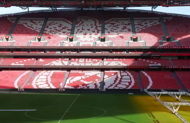 imagem n.1 de Lisboa: Passeio pelo estádio do Benfica Luz com cachecol de lembrança atividade em Lisboa, carregada pelo fornecedor