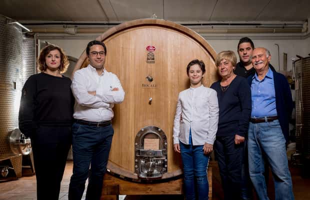 Immagine nº 1 di Montefalco: Tour della cantina e del vigneto e degustazione privata attività a Montefalco, caricata dal fornitore