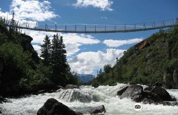 image n.1 of From Skagway: White Pass and Yukon Suspension Bridge Tour activity in British Columbia, uploaded by supplier