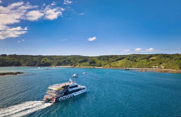 Bild Nr. 1 von Auckland: Tiritiri Matangi Island Fähre Aktivität in Auckland, hochgeladen vom Anbieter