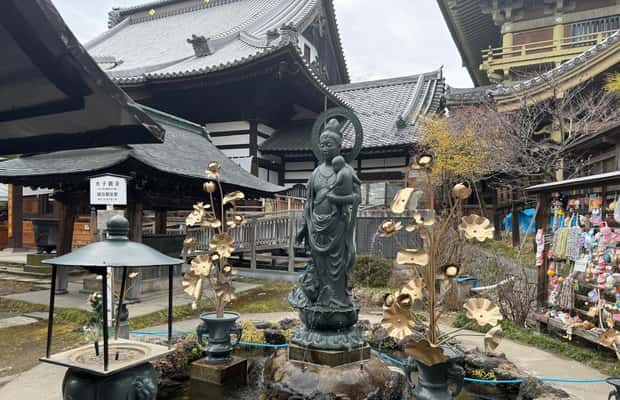 image n.1 of Nagano One Day Private Tour activity in Yamanochi, uploaded by supplier