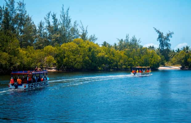 image n.1 of Watamu: Marine Park Snorkeling and Dolphin Spotting Tour activity in Coast Province, uploaded by supplier