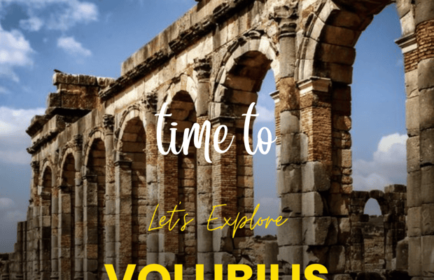billede nr.1 af aktiviteten Fra Fez: Volubilis Moulay Idriss & Meknes heldagsudflugt i Meknès, uploadet af udbyder