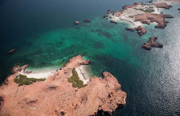 Immagine nº 1 di Muscat: tour privato in barca delle isole Daymaniyat con snorkeling attività a Oman, caricata dal fornitore