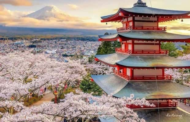 image n.1 of From Tokyo: Mount Fuji Full Day Private Tour English Guide activity in Fujikawaguchiko, uploaded by supplier