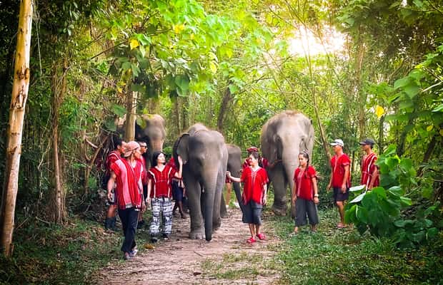 image n.1 of Phuket: Elephant Experience with Lunch or Dinner and Pickup activity in Phuket City, uploaded by supplier