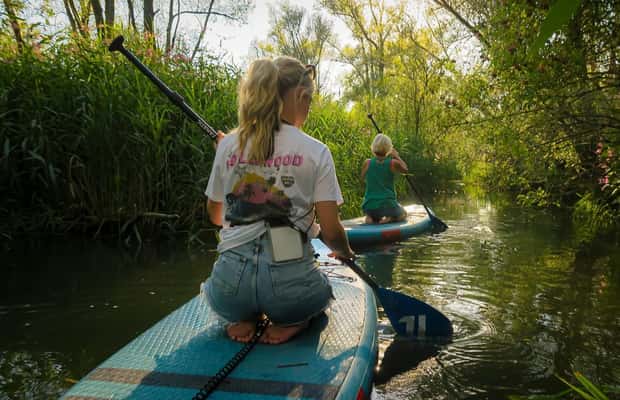 imagen n.º 1 de Biesbosch Alquiler de tablas de SUP actividad en Dordrecht, subida por el proveedor