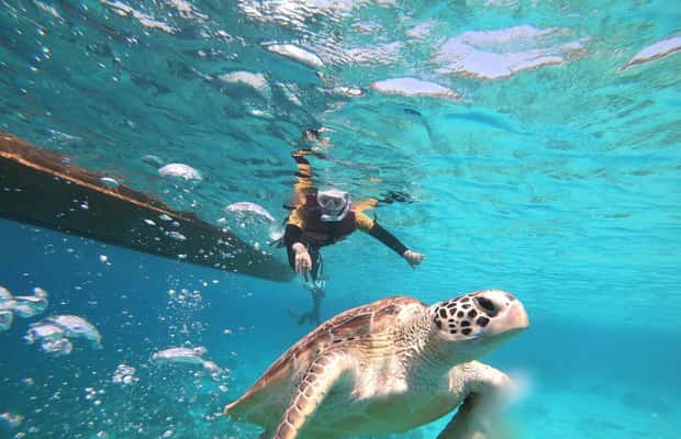 image n.1 of Gili Islands: Private or Shared Snorkeling Boat Trip activity in West Nusa Tenggara, uploaded by supplier