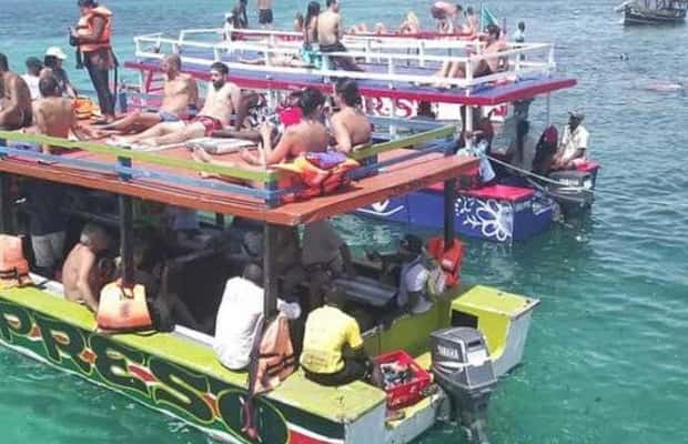 image n.1 of WATAMU,Snorkeling/dolphin spotting,seafood,mida creek cruise activity in Coast Province, uploaded by supplier