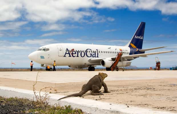 image n.1 of Galapagos GPS Airport Transfers and highlights Tours activity in Galápagos Islands, uploaded by supplier