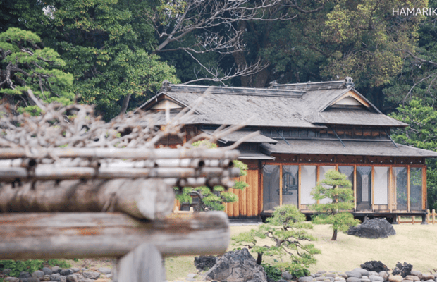 image n.1 of Tokyo: Anywhere you like! Tokyo Customized Tour in 5 hours activity in Tokyo, uploaded by supplier