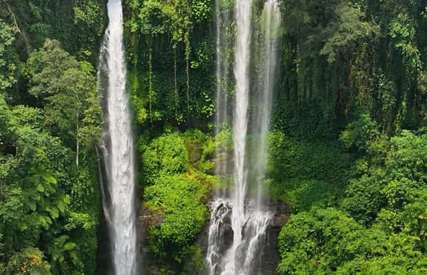 image n.1 of North Bali: Sekumpul and Banyumala Waterfalls & Rice Terrace activity in Bali, uploaded by supplier